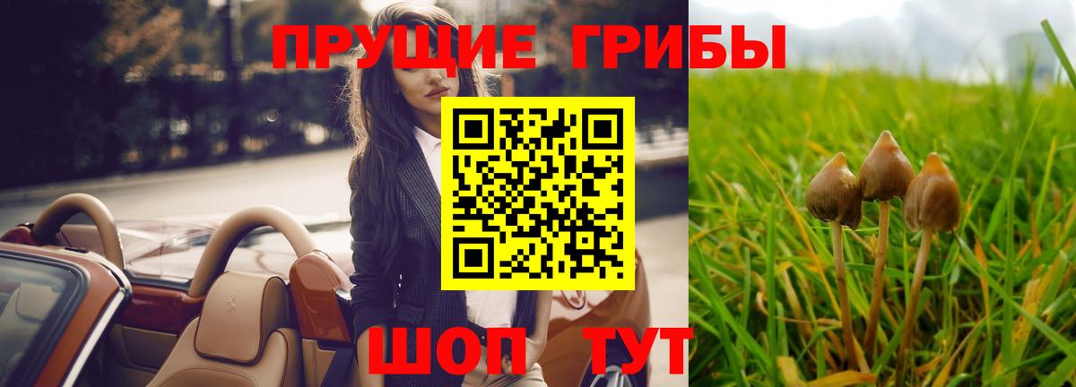 Галлюциногенные грибы Cubensis Красногорск